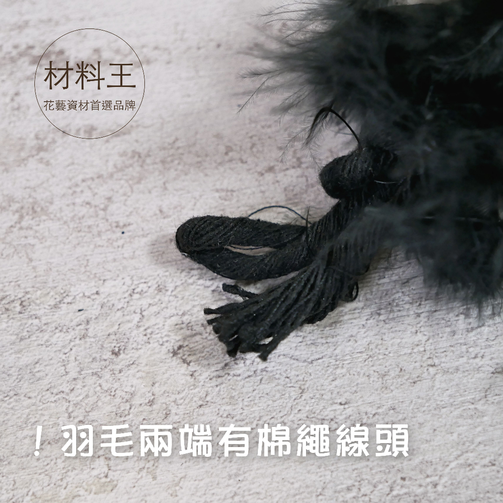 【台灣現貨速發】粗羽毛 羽毛串 立體羽毛｜一條２m