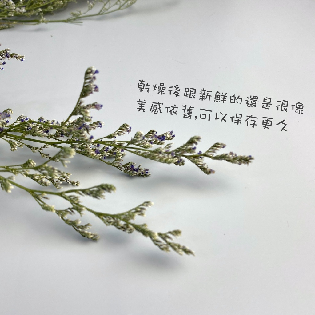 【台灣現貨速發】乾燥卡斯比雅 乾燥花 卡斯比亞 乾花