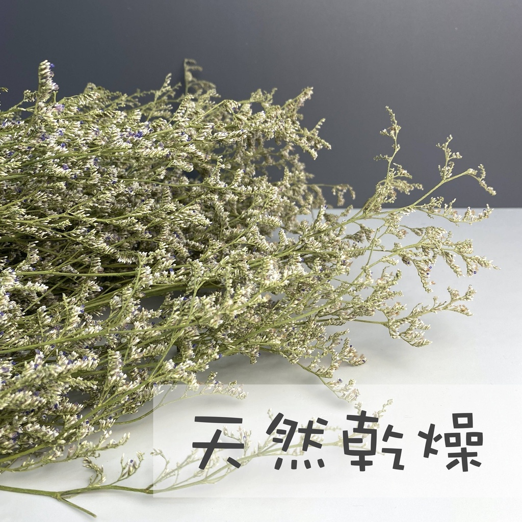 【台灣現貨速發】乾燥卡斯比雅 乾燥花 卡斯比亞 乾花
