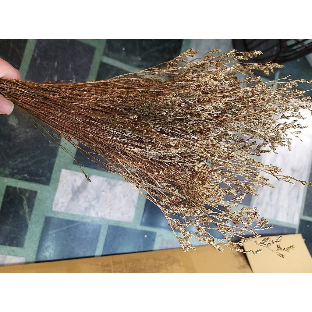 【台灣現貨速發】乾燥卡斯比亞花『噴金色』1/2把裝｜卡斯比亞 乾燥花 🌟台灣現貨速發