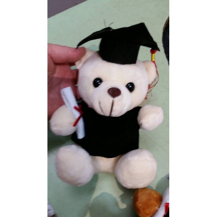 【台灣現貨速發】特價60元--畢業18公分學士熊(博士熊)
