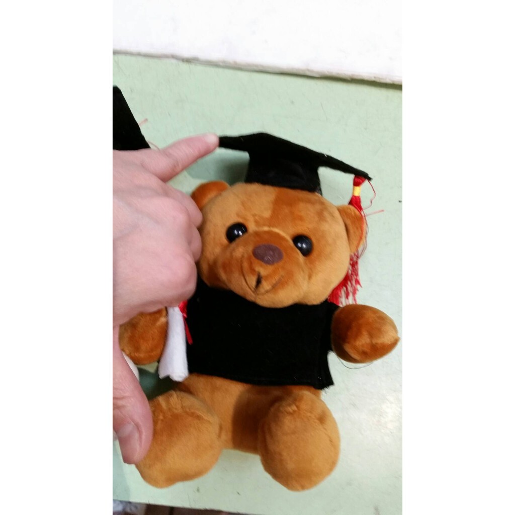 【台灣現貨速發】特價60元--畢業18公分學士熊(博士熊)