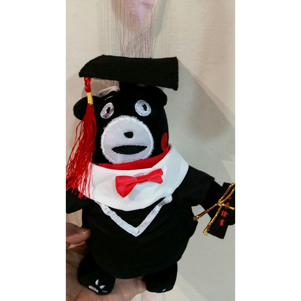 【台灣現貨速發】20公分畢業學士玩偶 高約20公分 ///顏色如圖 一ㄍ120元