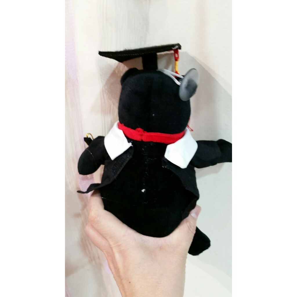 【台灣現貨速發】20公分畢業學士玩偶 高約20公分 ///顏色如圖 一ㄍ120元