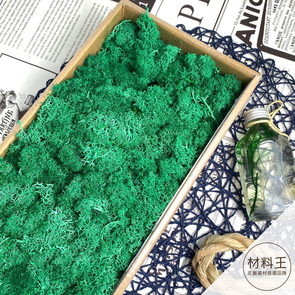 【台灣現貨速發】永生水草苔蘚 馴鹿苔 苔蘚｜５０克裝 多種顏色｜苔蘚 水草 永生花 乾燥花 現貨