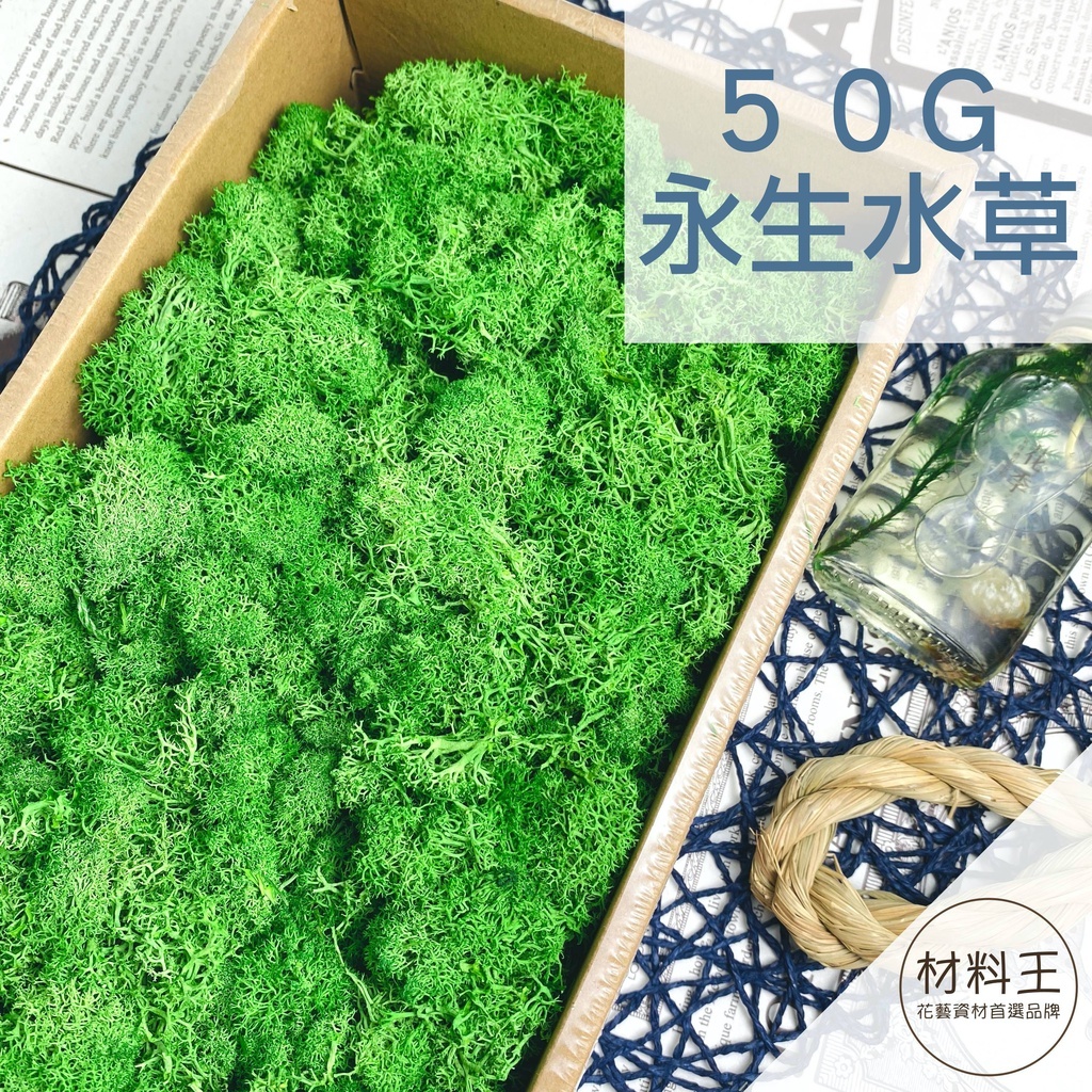 【台灣現貨速發】永生水草苔蘚 馴鹿苔 苔蘚｜５０克裝 多種顏色｜苔蘚 水草 永生花 乾燥花 現貨