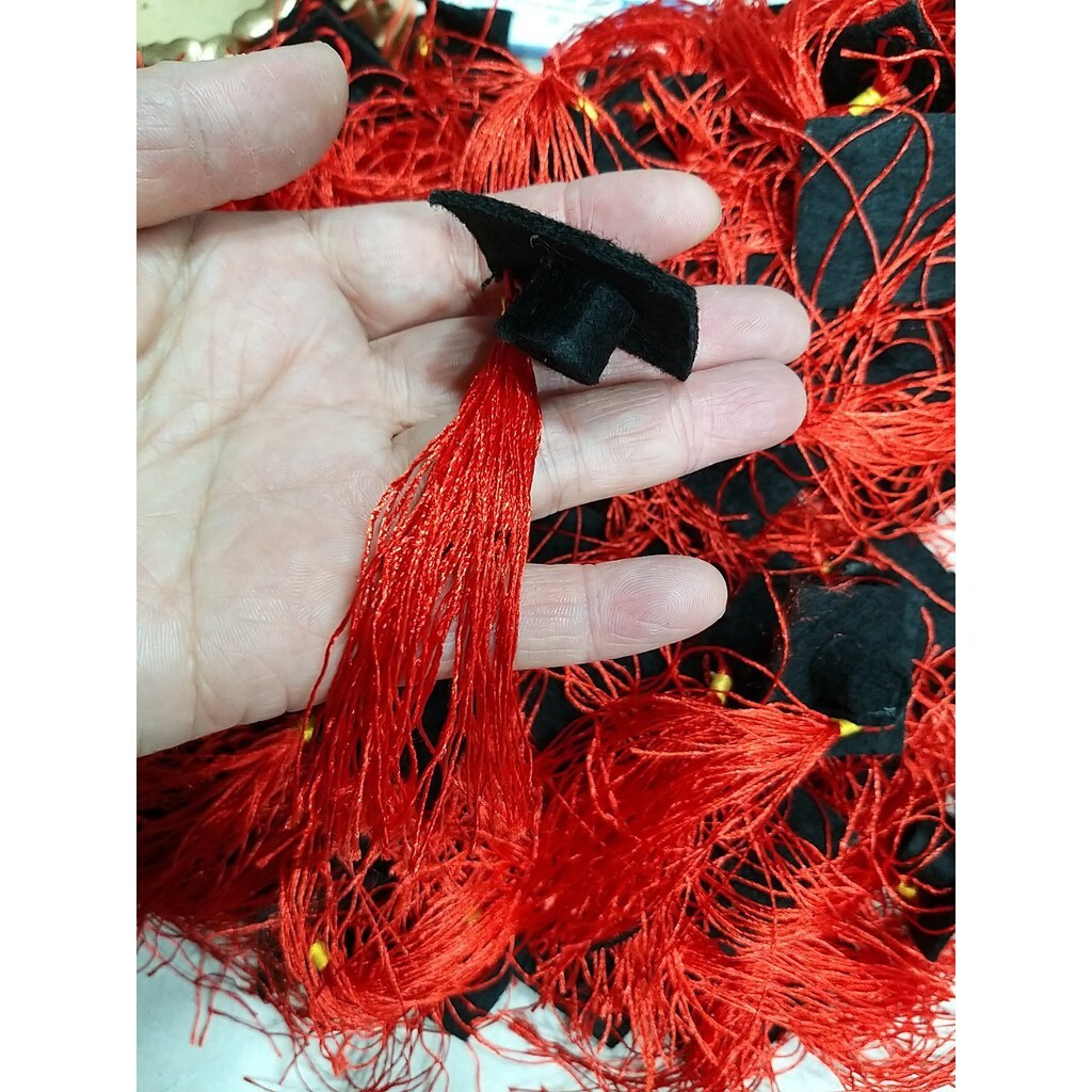 【台灣現貨速發】學士帽 ｜零售一個｜玩偶 畢業 畢業季 玩偶適合佩戴 畢業學士帽