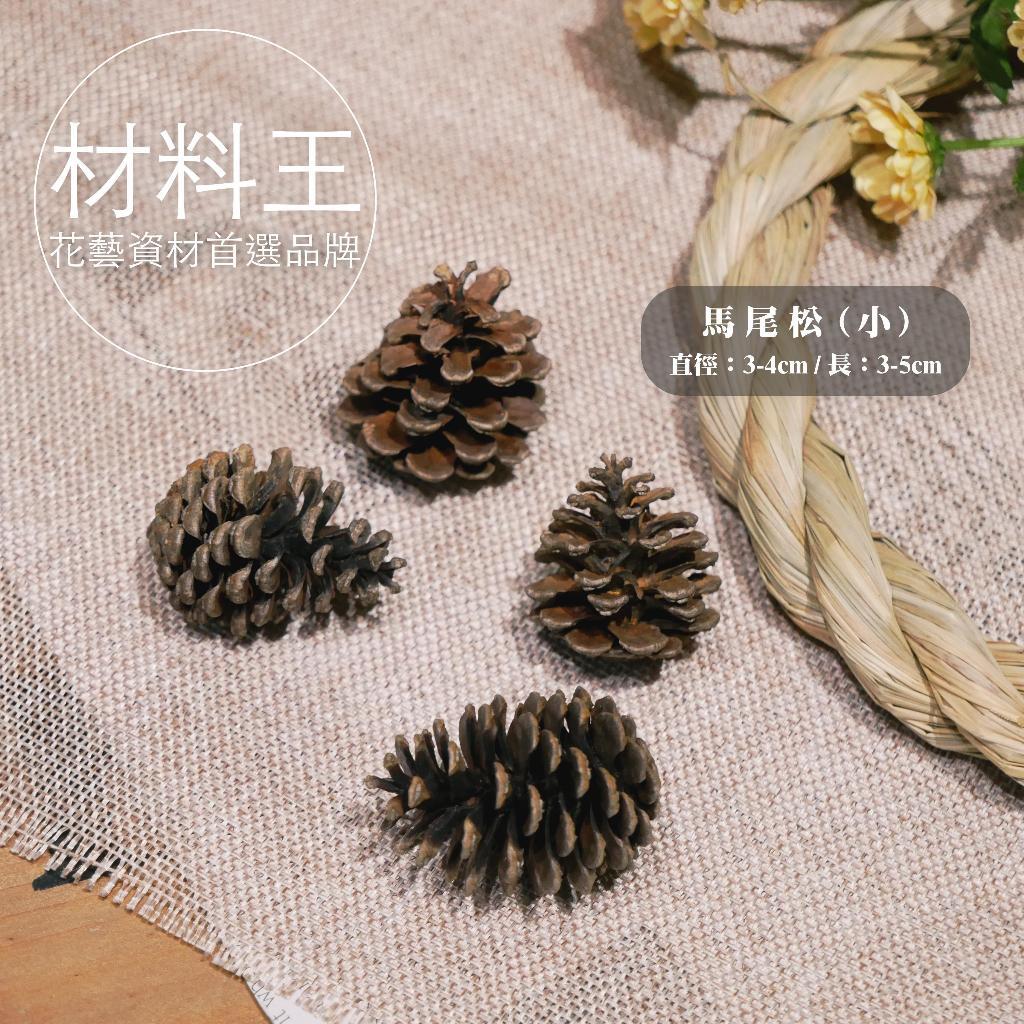 【台灣現貨速發】聖誕節 松果 |  3-5公分 | 毬果 小松果 聖誕樹裝飾 花圈裝飾 落羽松 乾燥花 乾燥素材