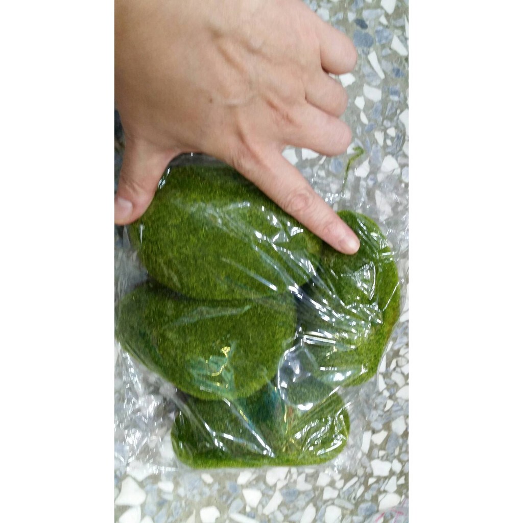 【台灣現貨速發】人工仿綠藻石頭//假石頭//苔蘚石頭