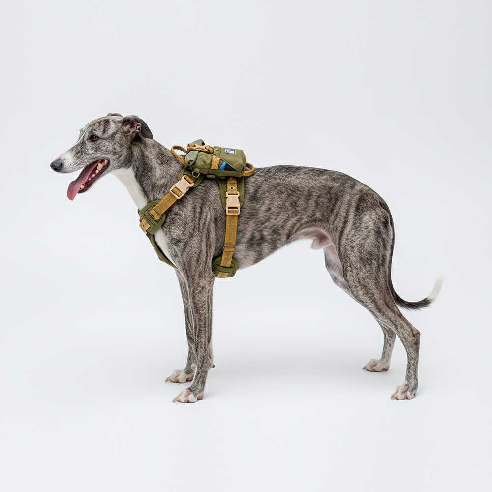 一起 GO GO 親子隨行包 | 經典綠