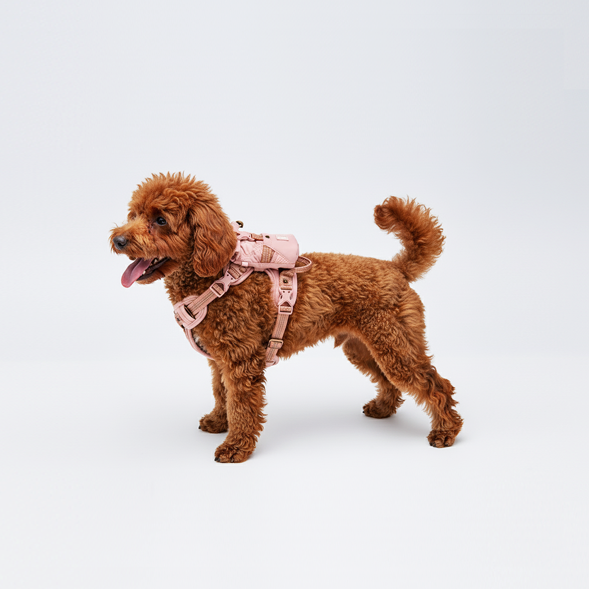 一起 GO GO 親子隨行包 | 鉑金粉