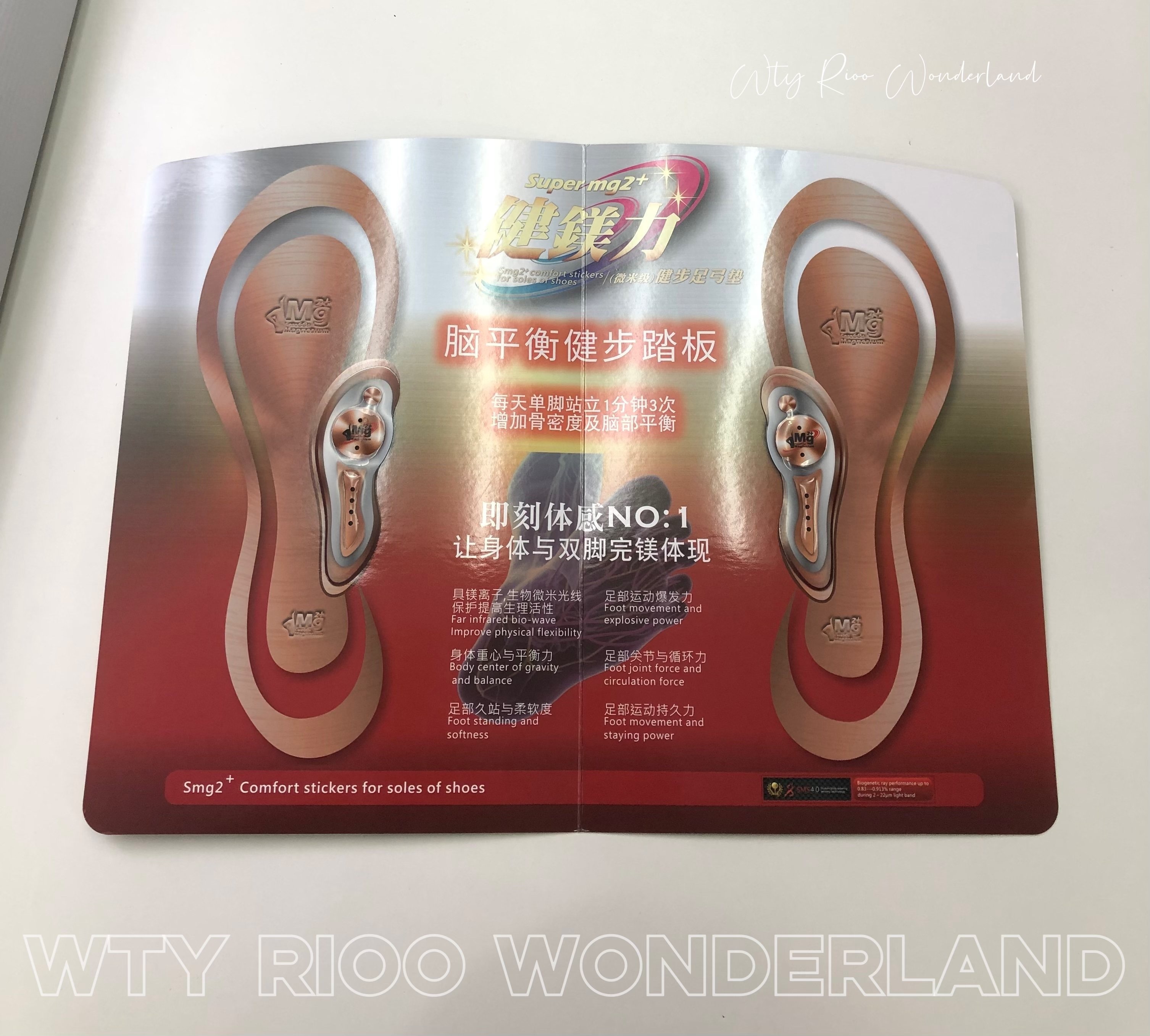 A10/A11W093004 健鎂力腦平衡健步踏板（一組一雙）