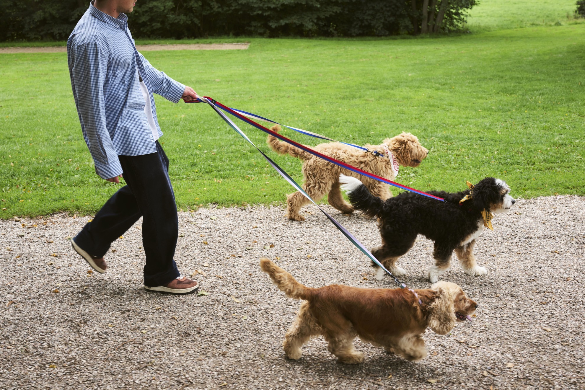 HAY Dogs 系列牽繩，成為寵物公園最吸睛的飼主