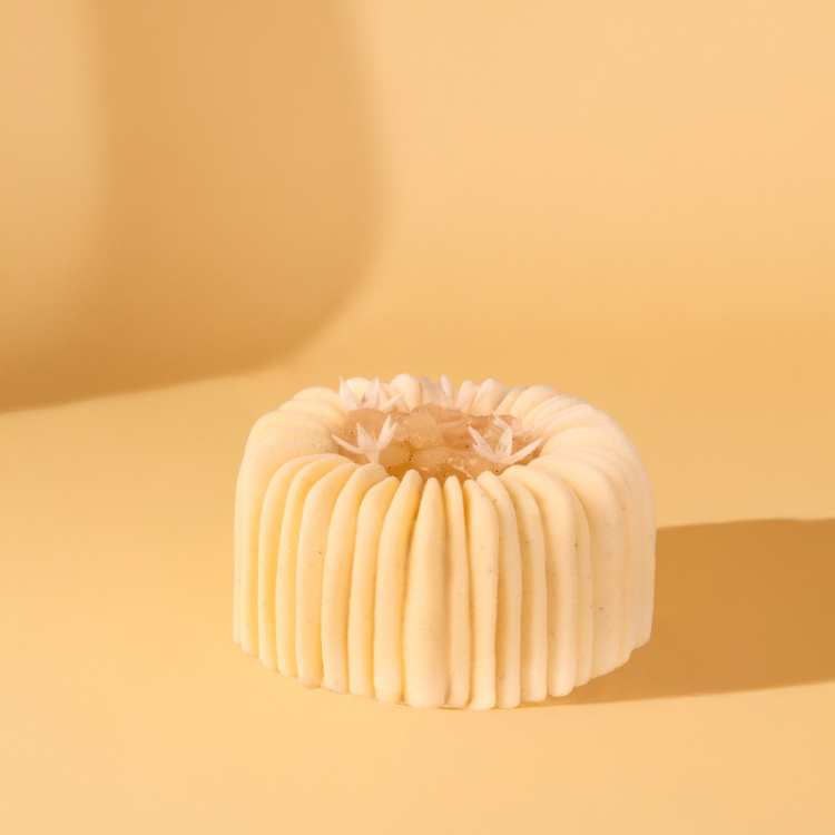 夏洛特  Charlotte