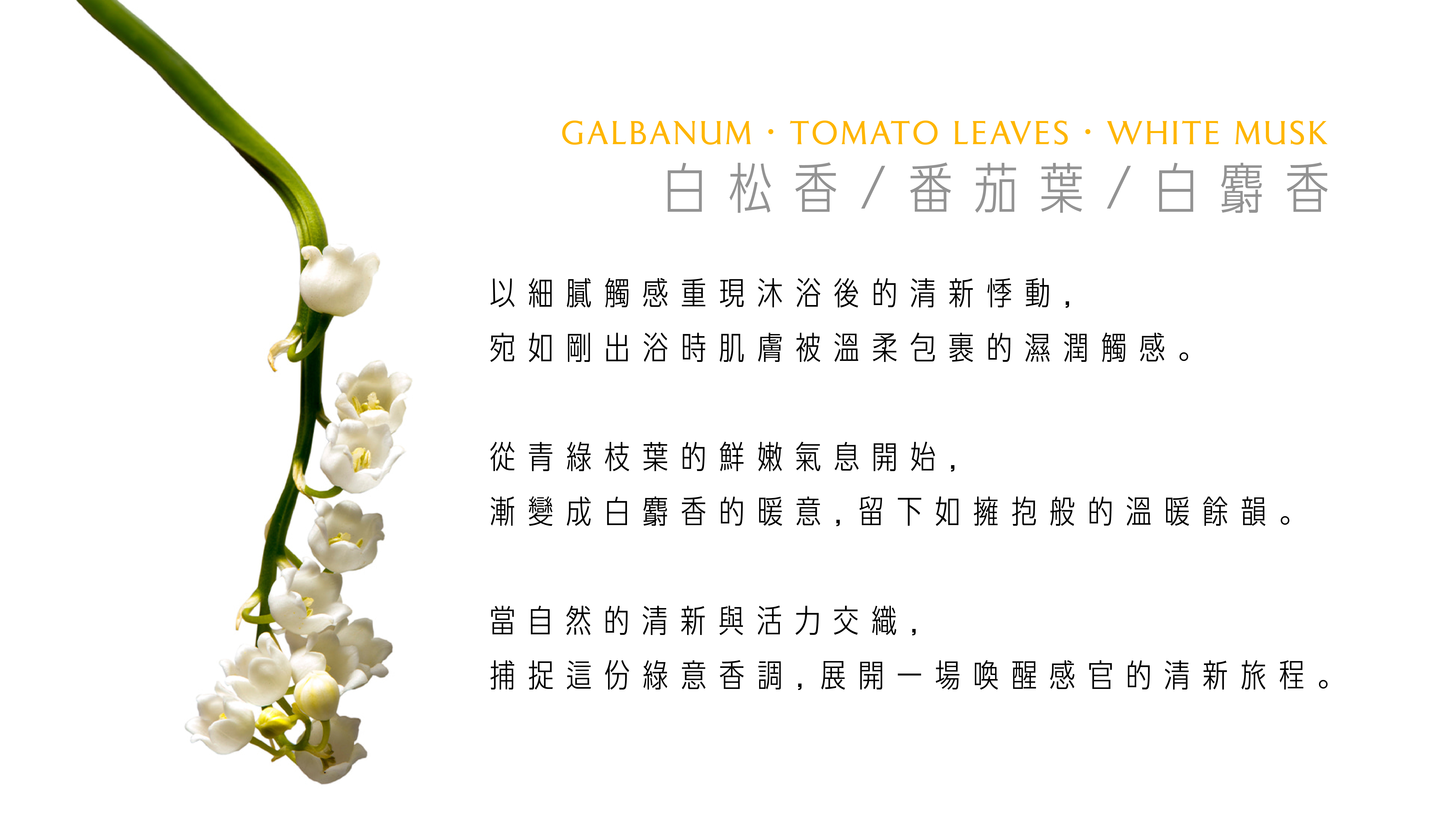 WHITE TOWEL WHEN I WASH UP 沐後絮語護手霜