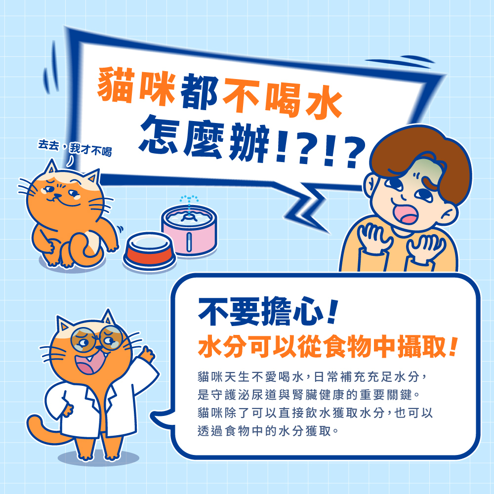 肉球世界｜補水炸彈主食餐包 45g