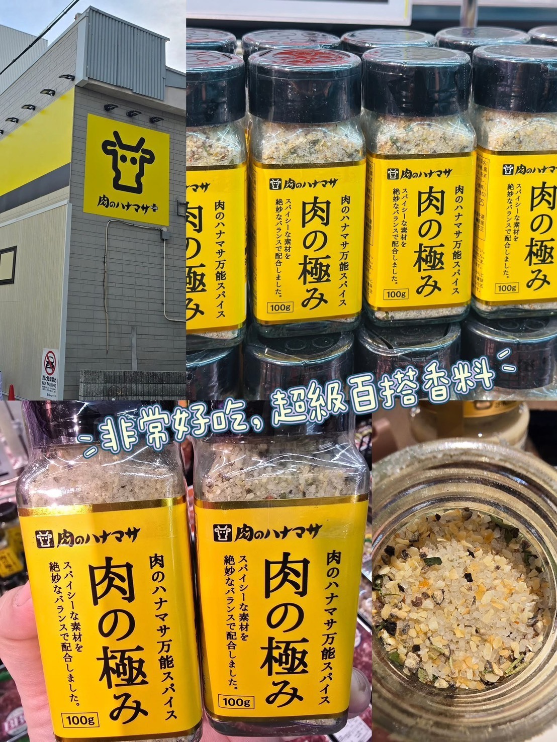 (預購商品 9/15收單)  日本 肉の極萬能香料 100g