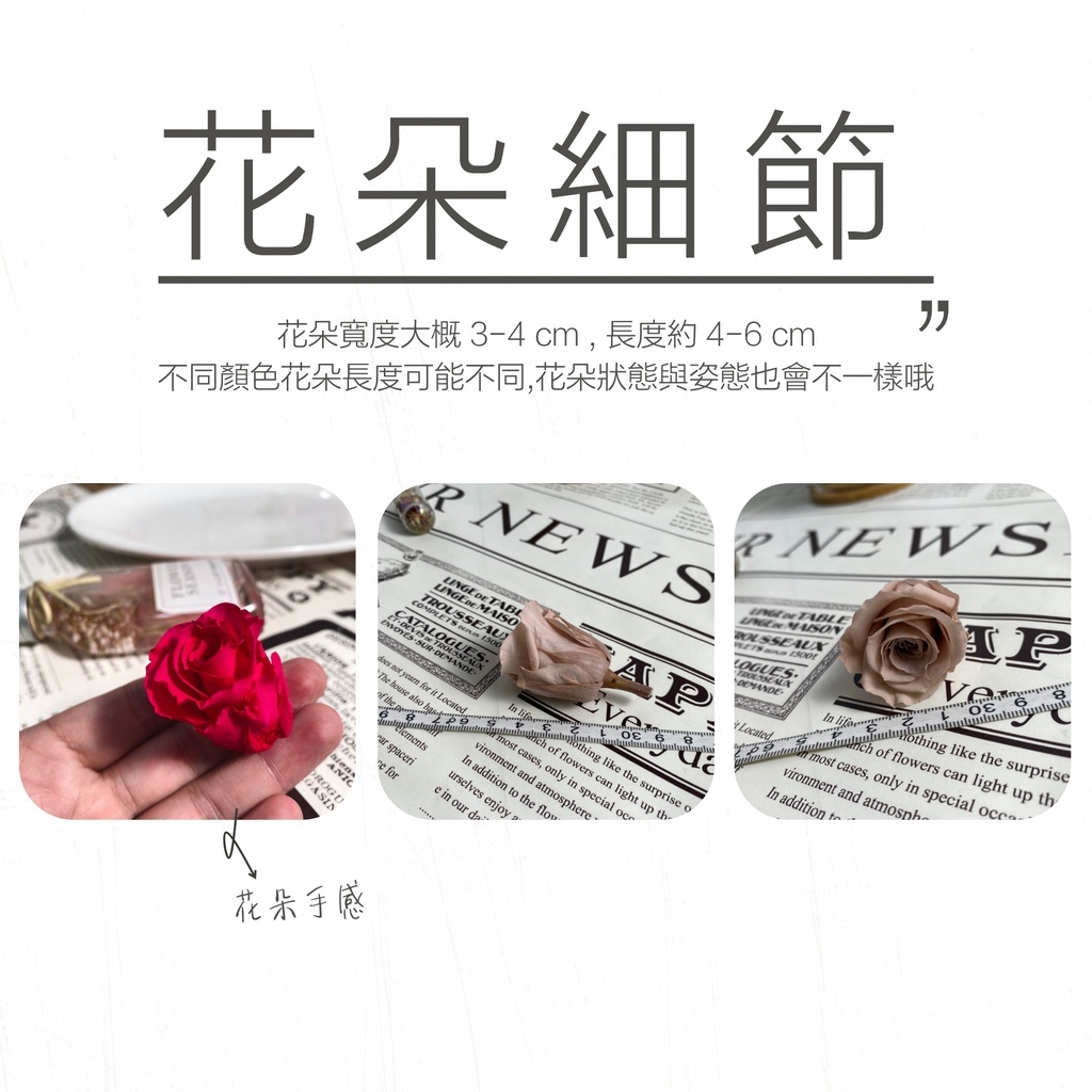 【台灣現貨速發】｜永生玫瑰花朵｜不凋花｜12朵裝｜