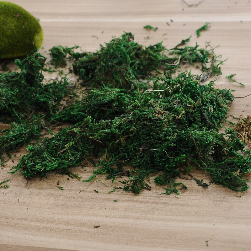 【台灣現貨速發】乾燥水草 (批發原裝包一包約750克300元