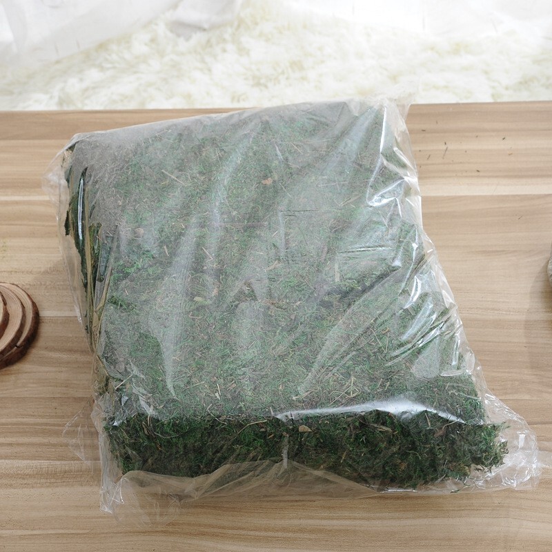 【台灣現貨速發】乾燥水草 (批發原裝包一包約750克300元