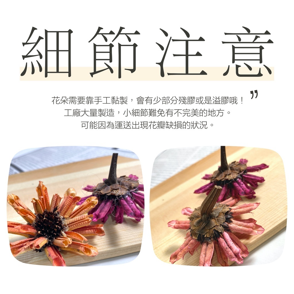 【台灣現貨速發】手工太陽花 雙層太陽花 向日葵 太陽花 乾燥花頭 花頭