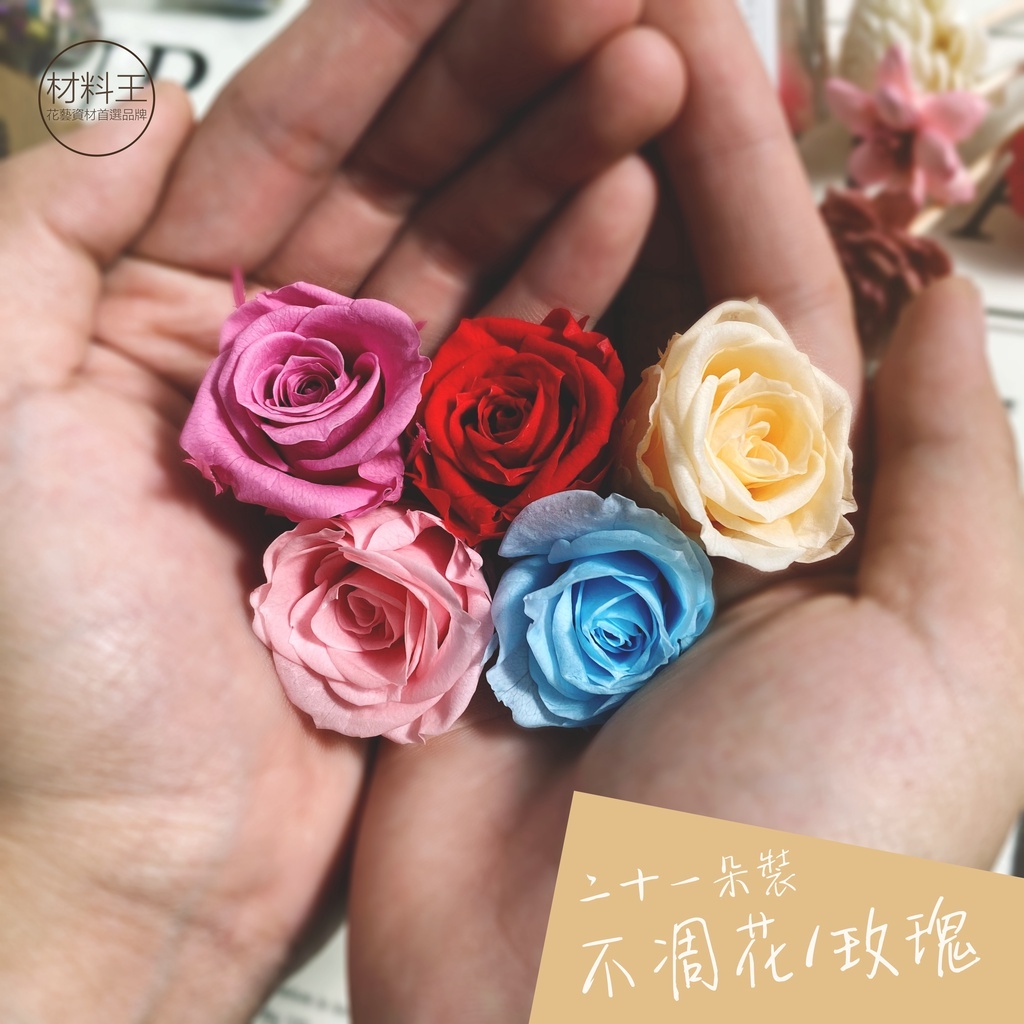 【台灣現貨速發】永生玫瑰｜不凋花｜21朵 & 24朵裝｜永生 玫瑰 情人節 花束 乾燥花
