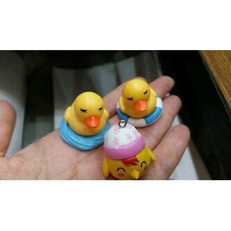 【台灣現貨速發】黃色小鴨 鴨子公仔 小雞｜一個20元, 三種款式｜多肉植物擺件 盆栽小玩偶 編號M195
