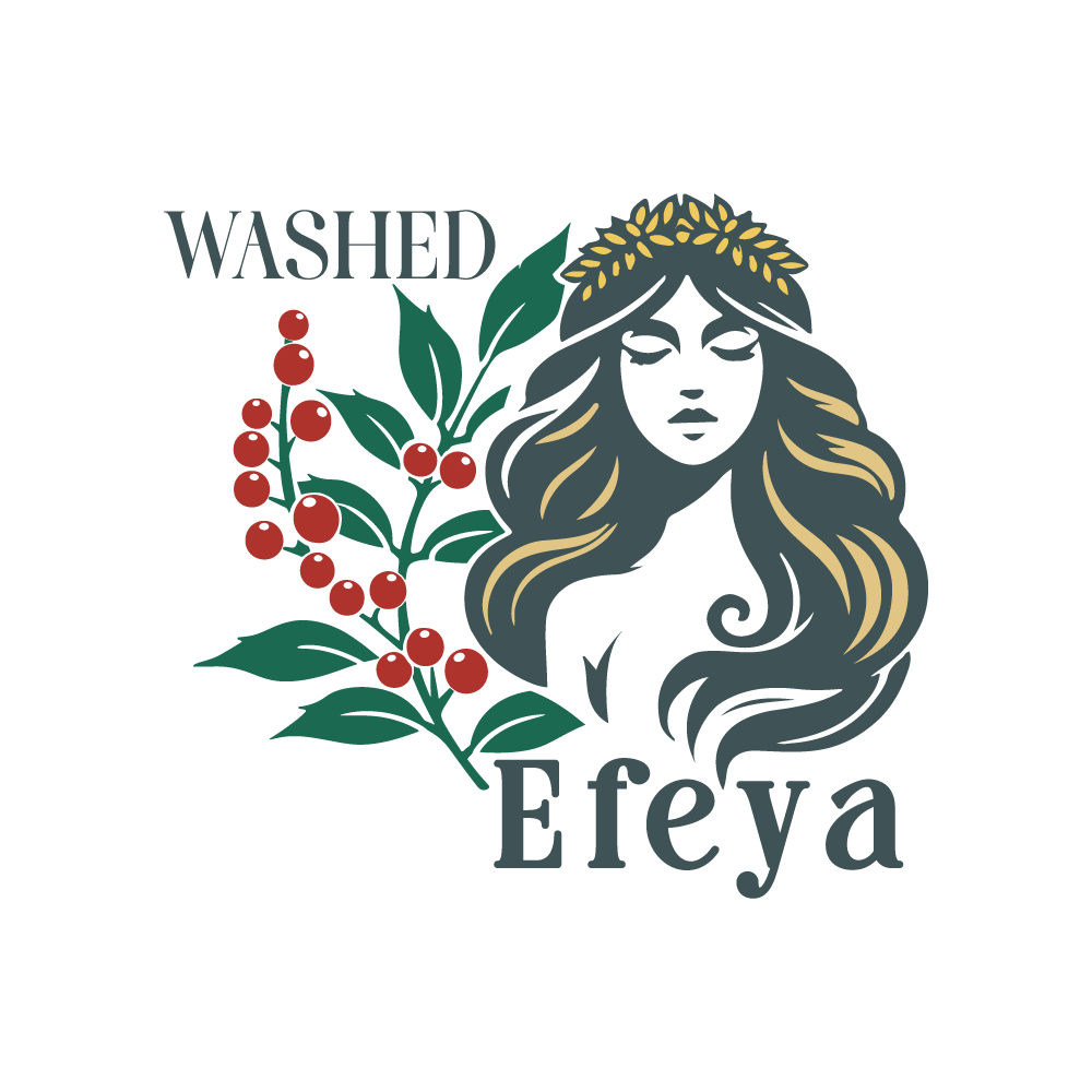 【完售】- 衣索比亞 蓋迪歐 耶加雪菲 沃卡 伊菲雅 水洗 G1