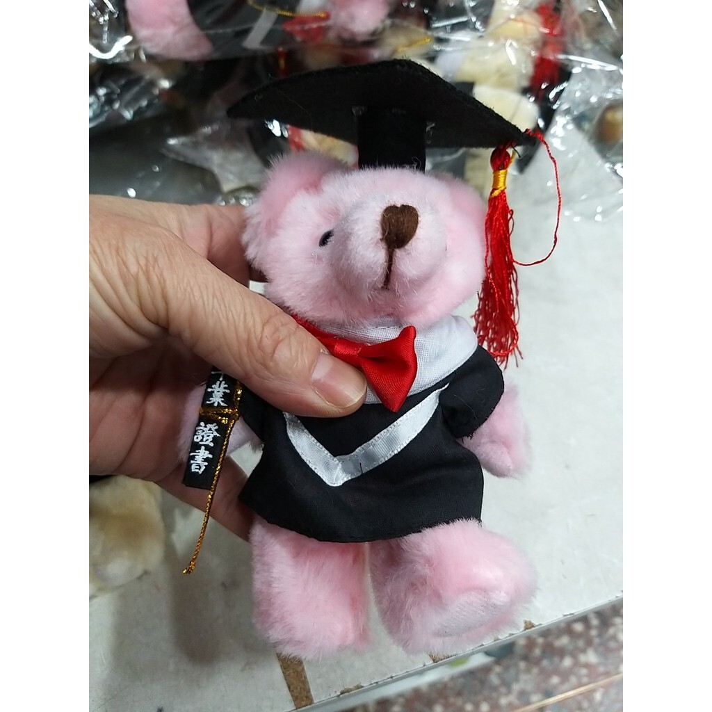 【台灣現貨速發】15公分花束學士熊 畢業熊 | 紅穗/畢業服+證書 | 畢業季 小熊 學士服