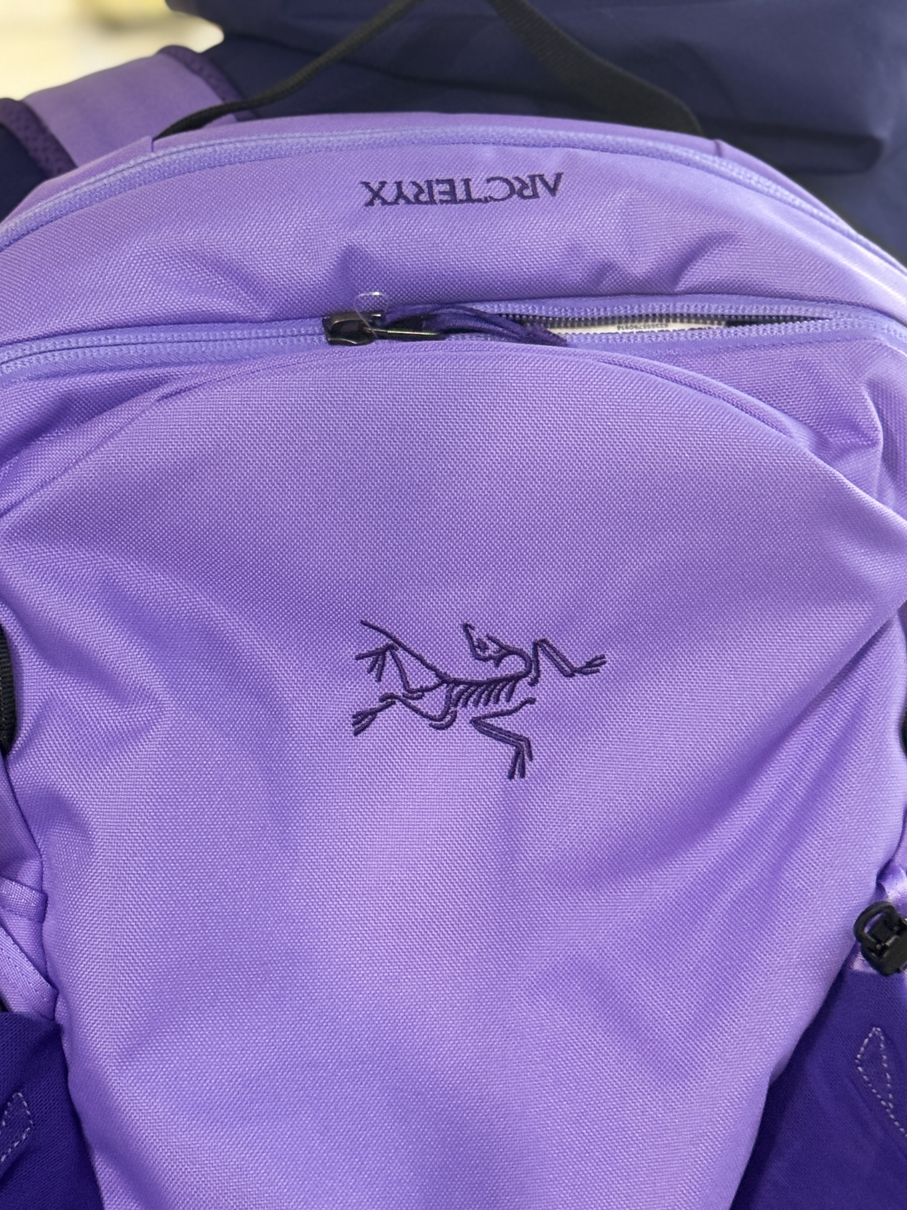 Arcteryx Mantis 16 Backpack Aster