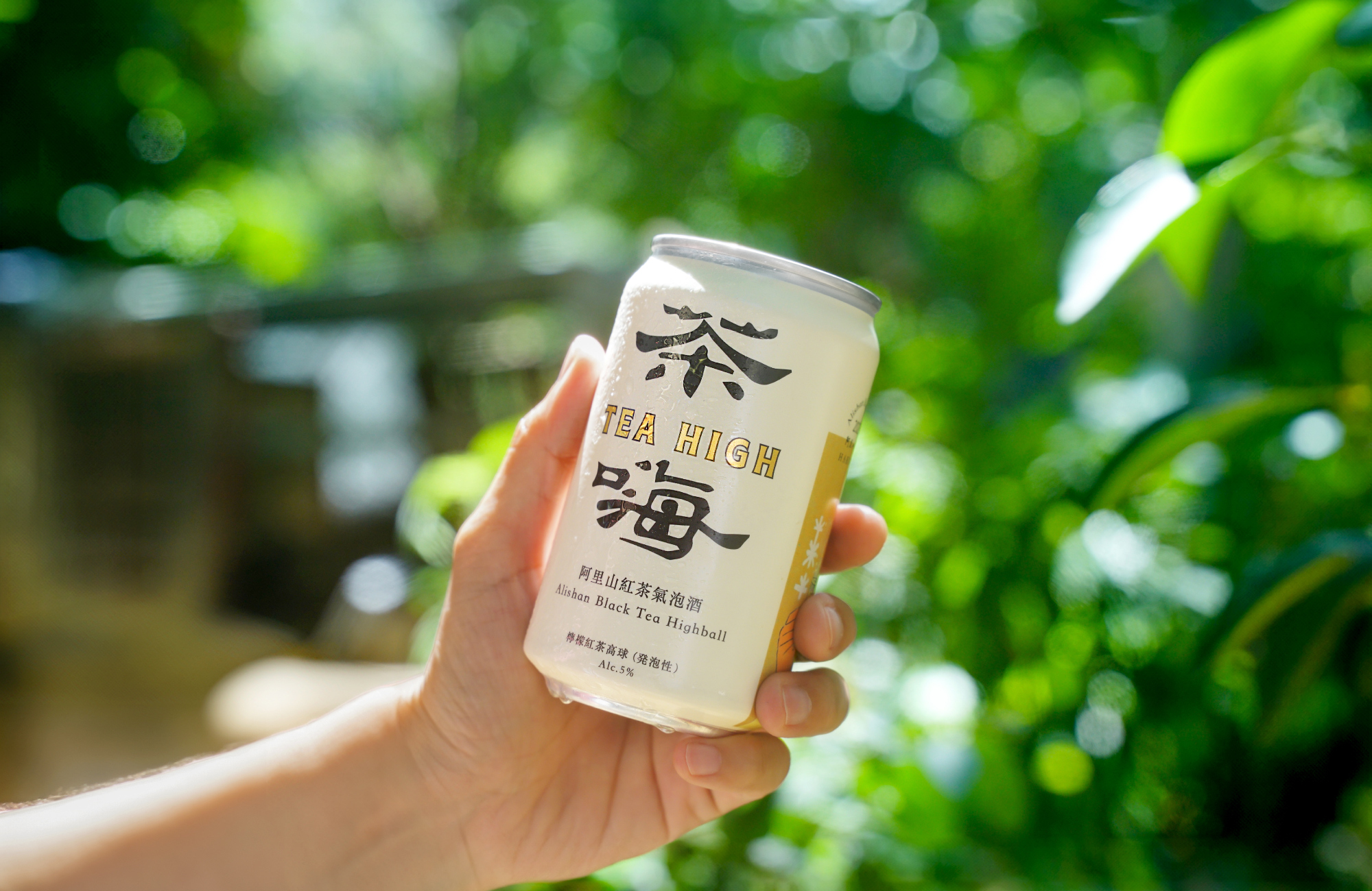 TAIHU ✕ S.C Lab 茶嗨阿里山紅茶氣泡酒