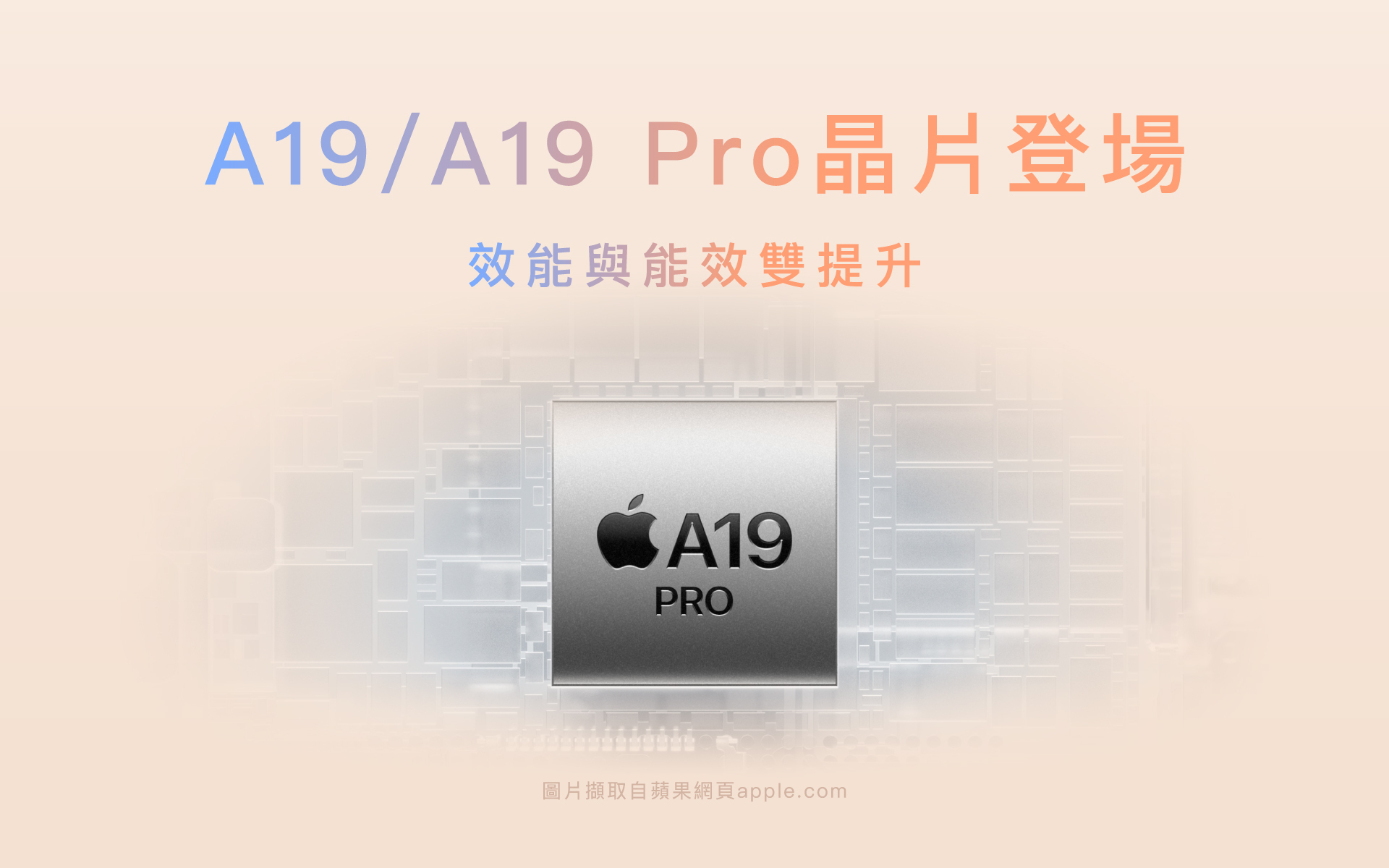 A19晶片