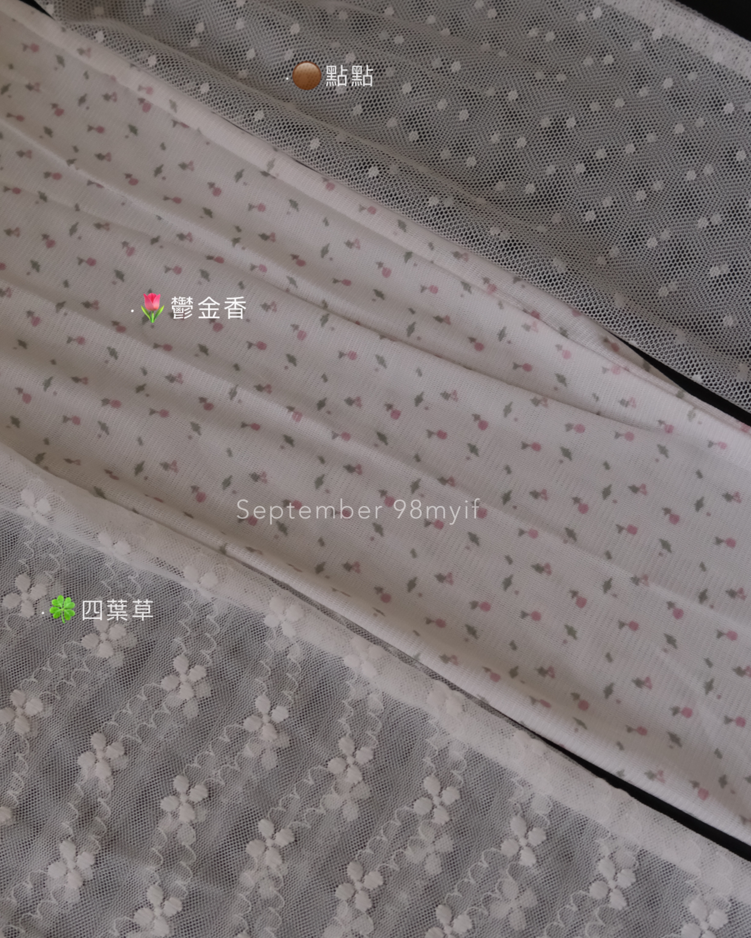 S22 🌷🌼 內在美！蕾絲透膚內搭 3colors. ( 現貨）