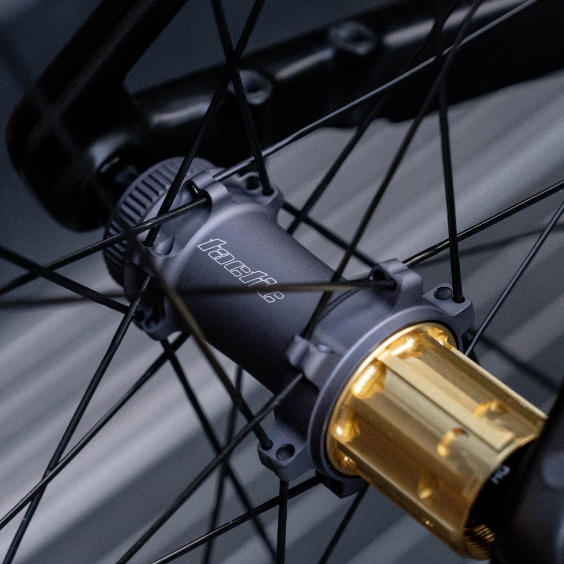 【PRINCETON】ALTA 3532 碳纖維波浪輪組 / Tatic TR01 頂級花鼓（共４色）