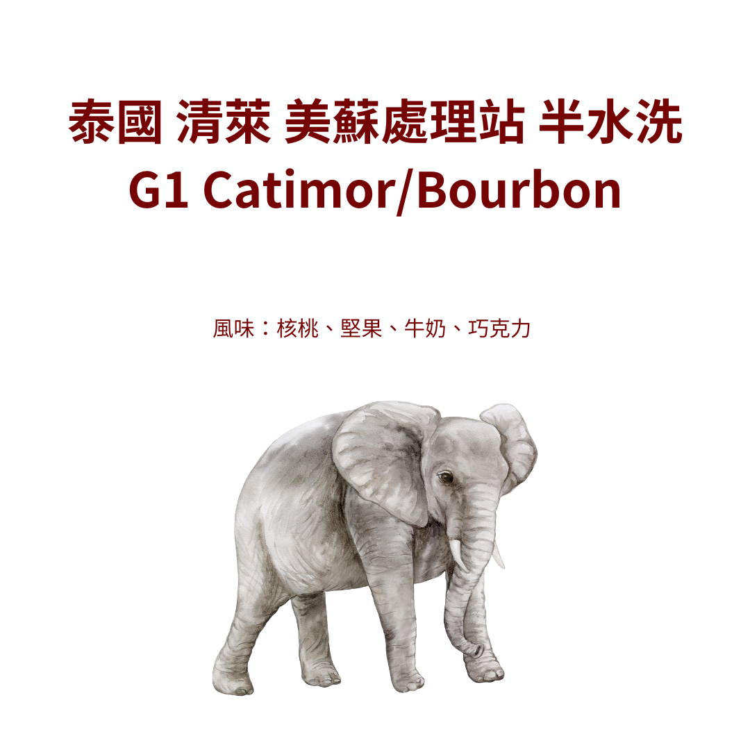 【咖啡生豆】泰國 清萊 美蘇處理站 半水洗 G1 Catimor/Bourbon