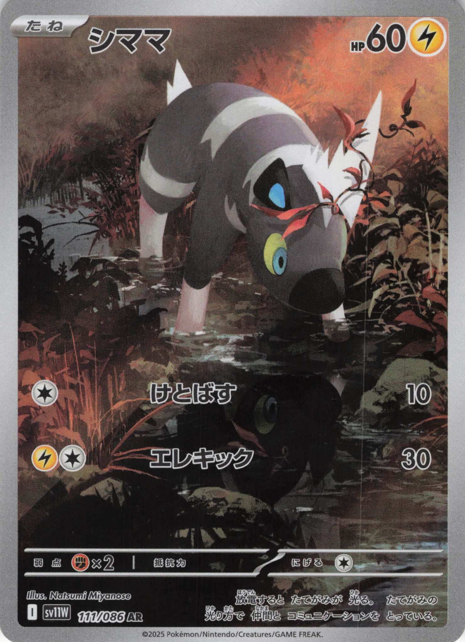 sv11W ホワイトフレア - 111/086 シママ (斑斑馬) AR