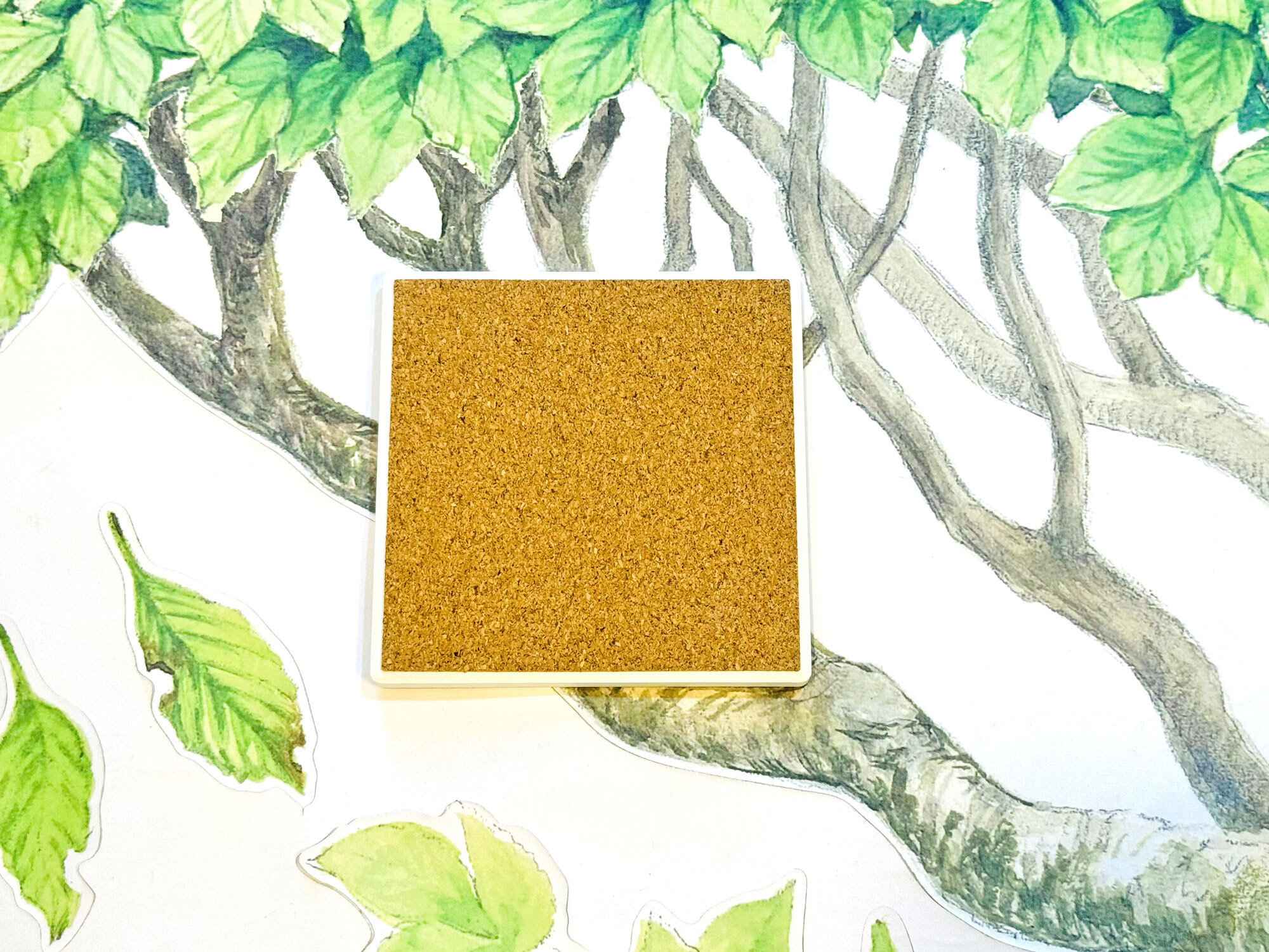 大熊小熊郊遊趣陶瓷杯墊