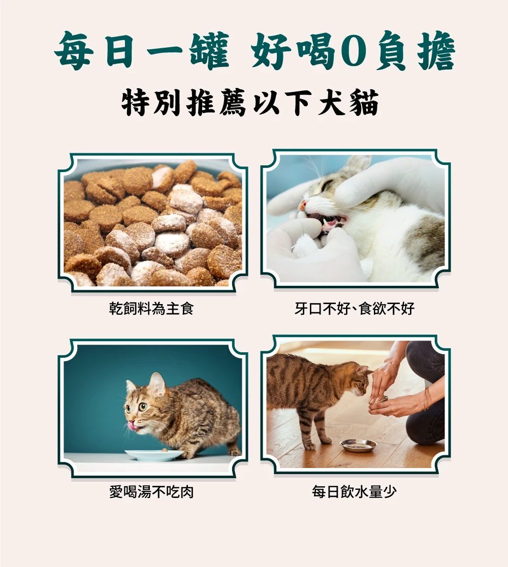 怪獸部落｜港式鮮煲湯80g 補水湯罐 (犬貓通用)