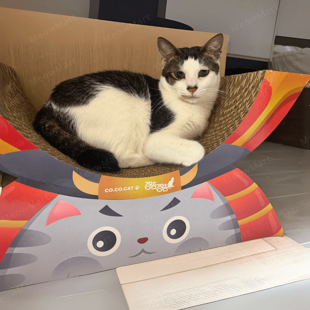 台灣CO.CO.CAT酷酷貓｜武士貓貓抓板
