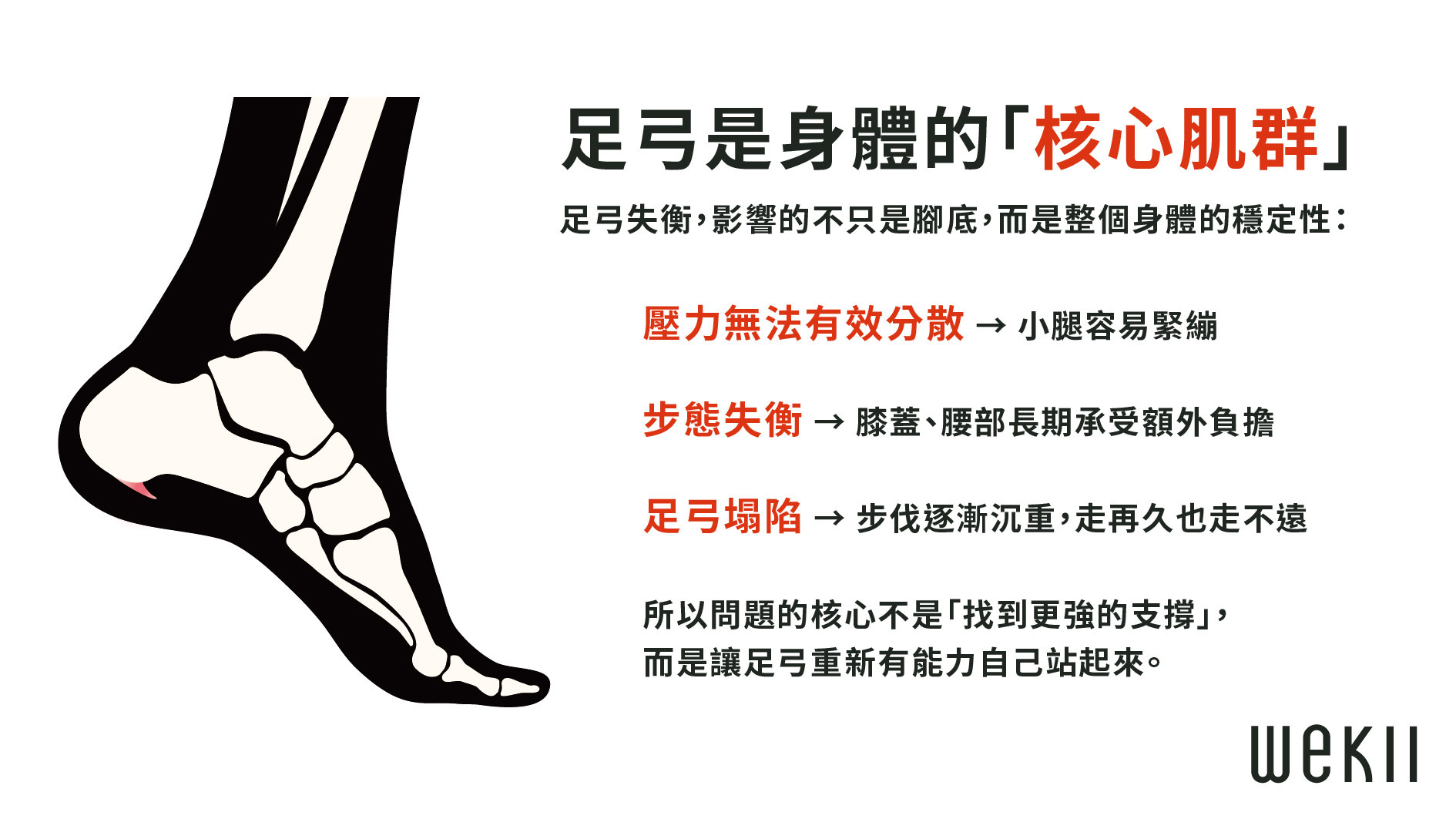 足弓核心肌群說明圖