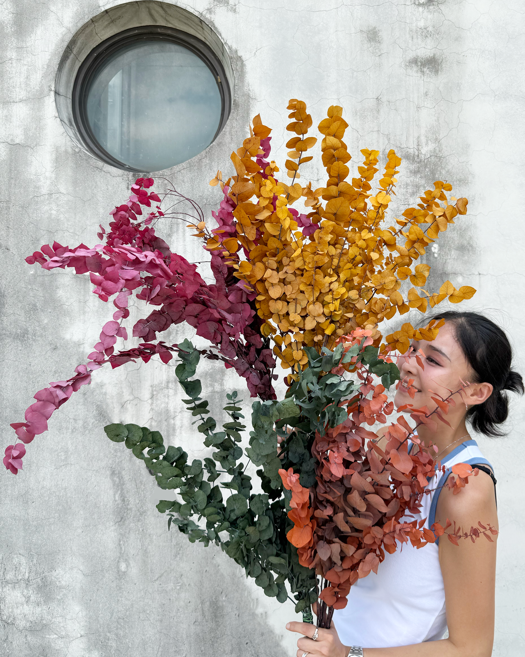 小圓葉尤加利 (義大利)