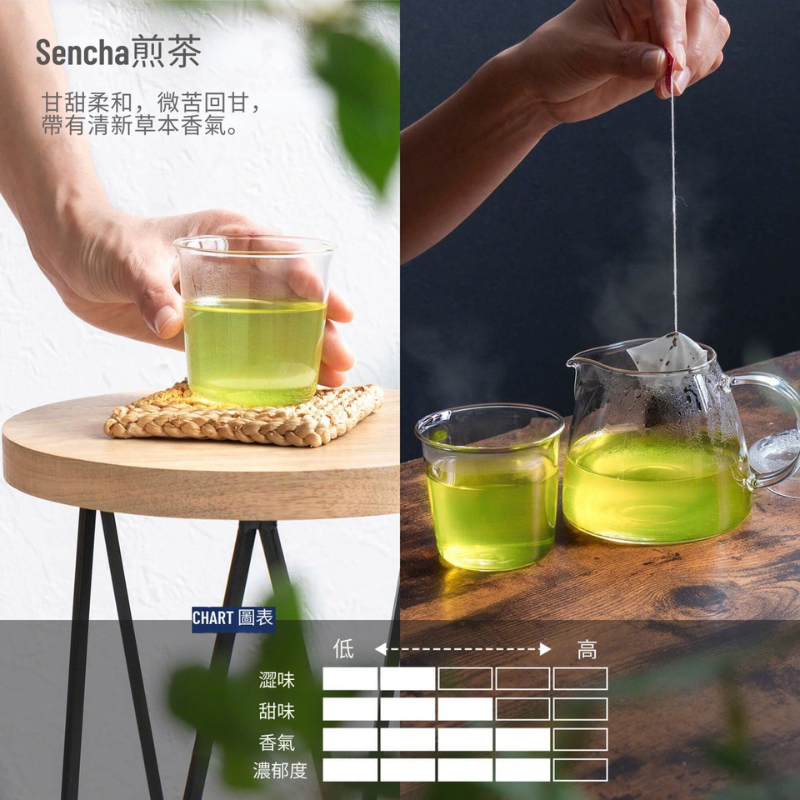 煎茶綠茶茶包【15入裝】