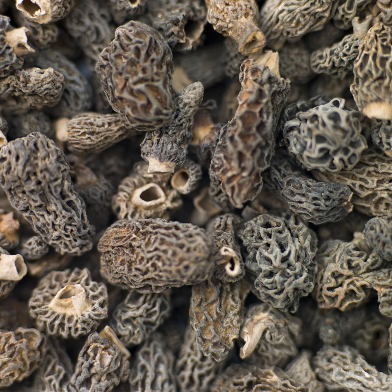 法國 PLANTIN 乾燥 羊肚菇