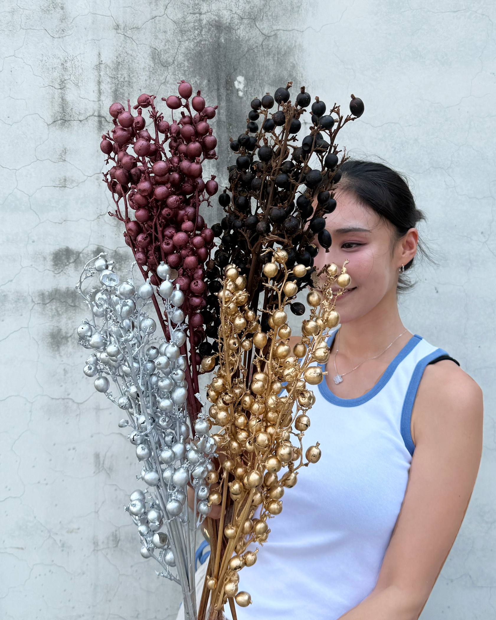 乾燥黑莓果(印度)