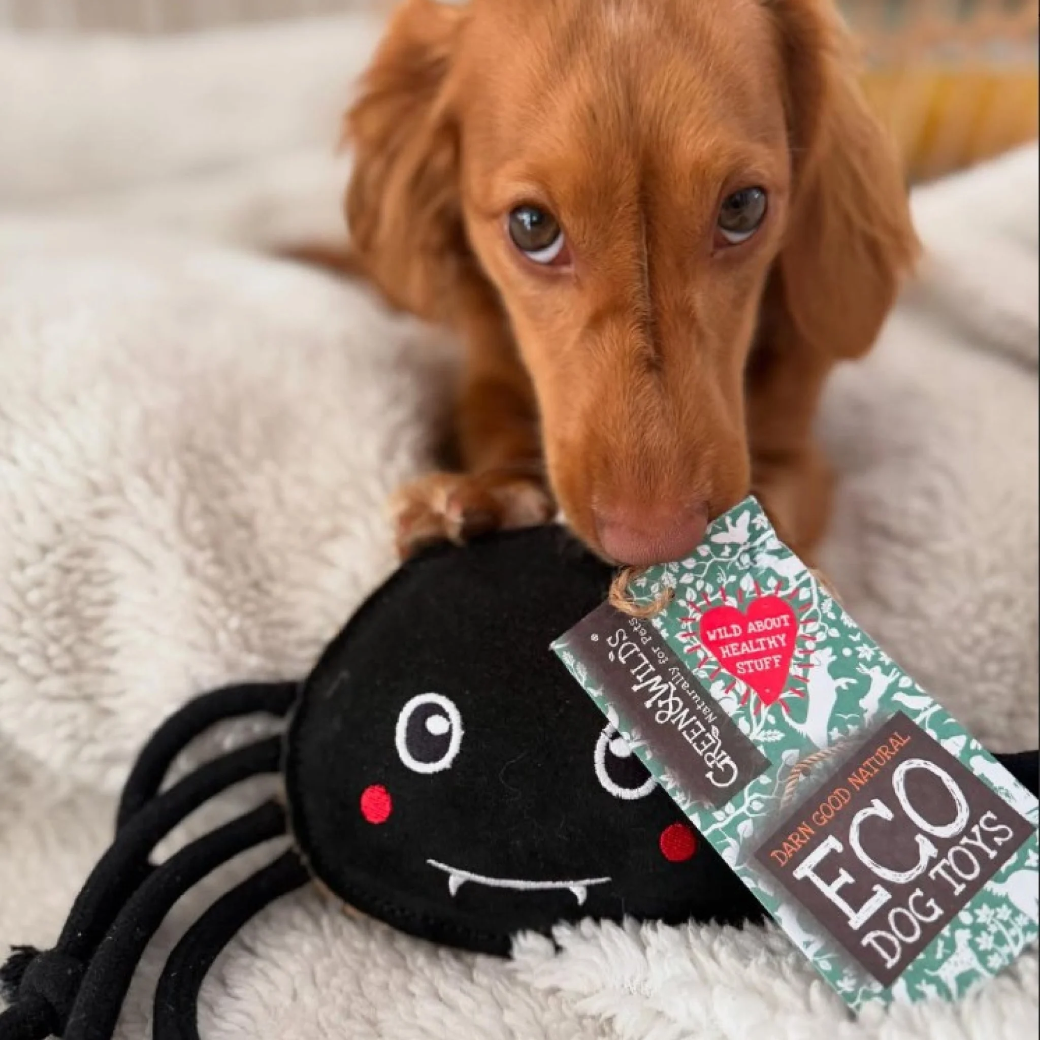 GREEN & WILDS- 天然黃麻製犬用啃咬玩具 -尖牙蜘蛛