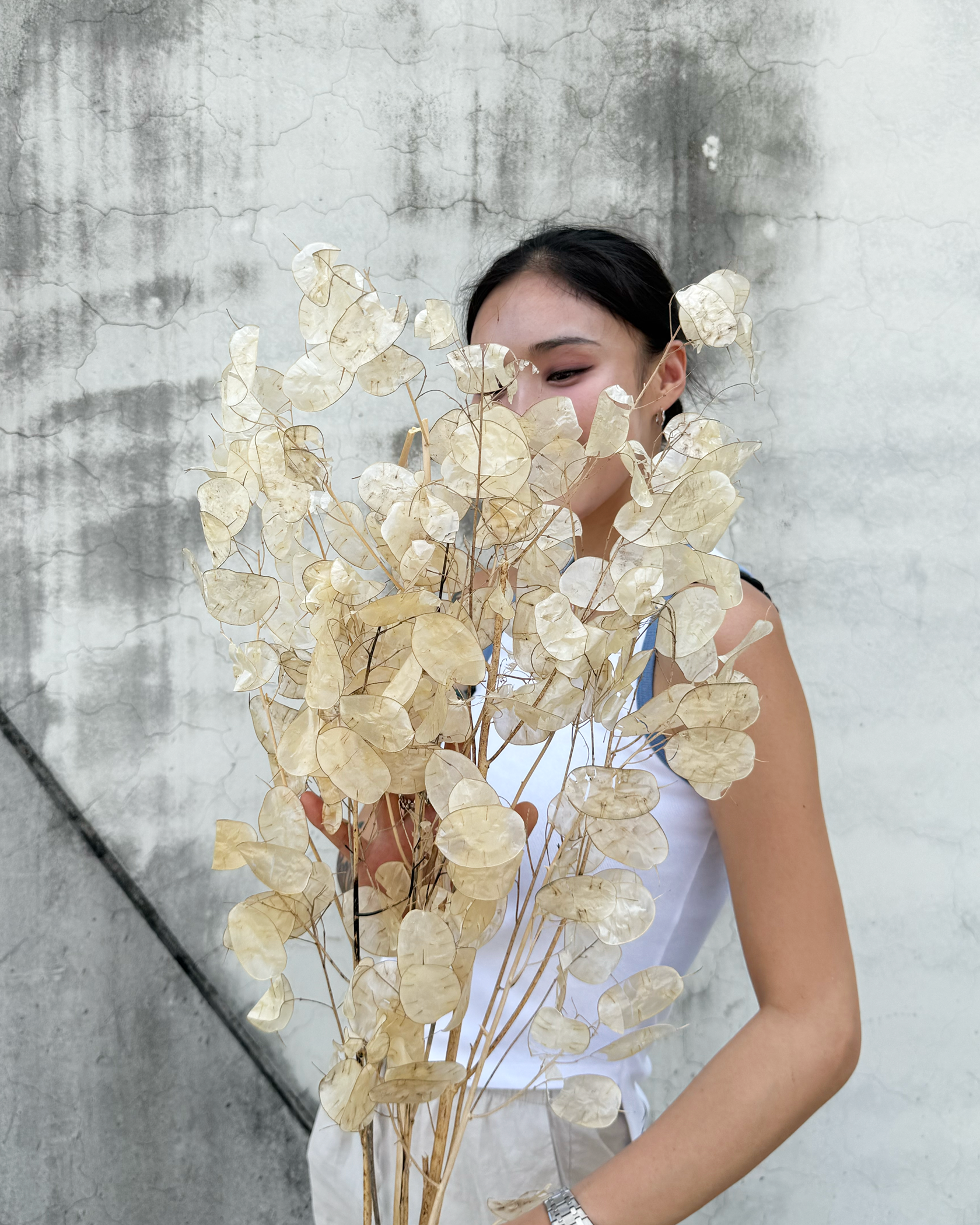 特級銀幣葉(義大利)