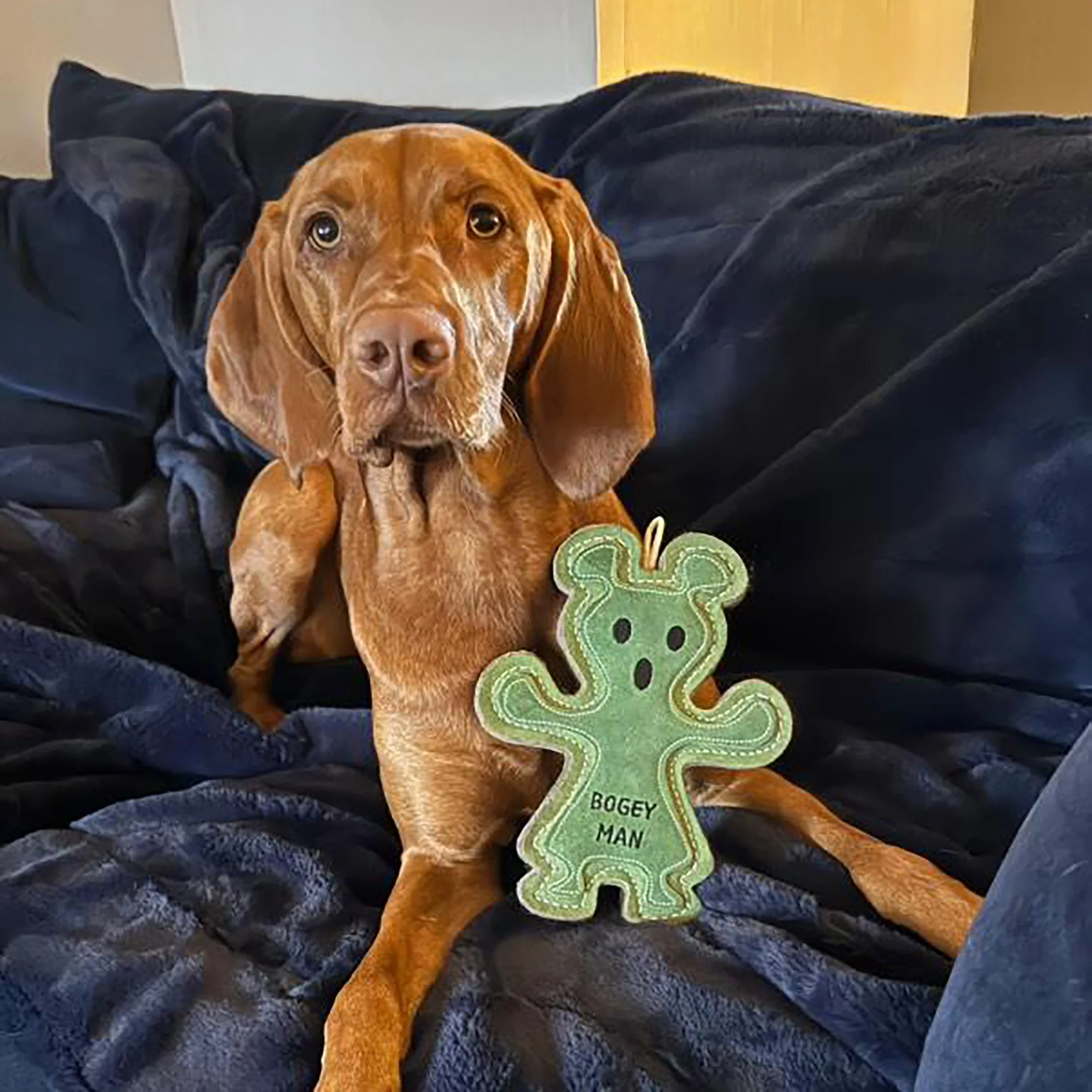 GREEN & WILDS- 天然黃麻製犬用啃咬玩具 -綠光星人