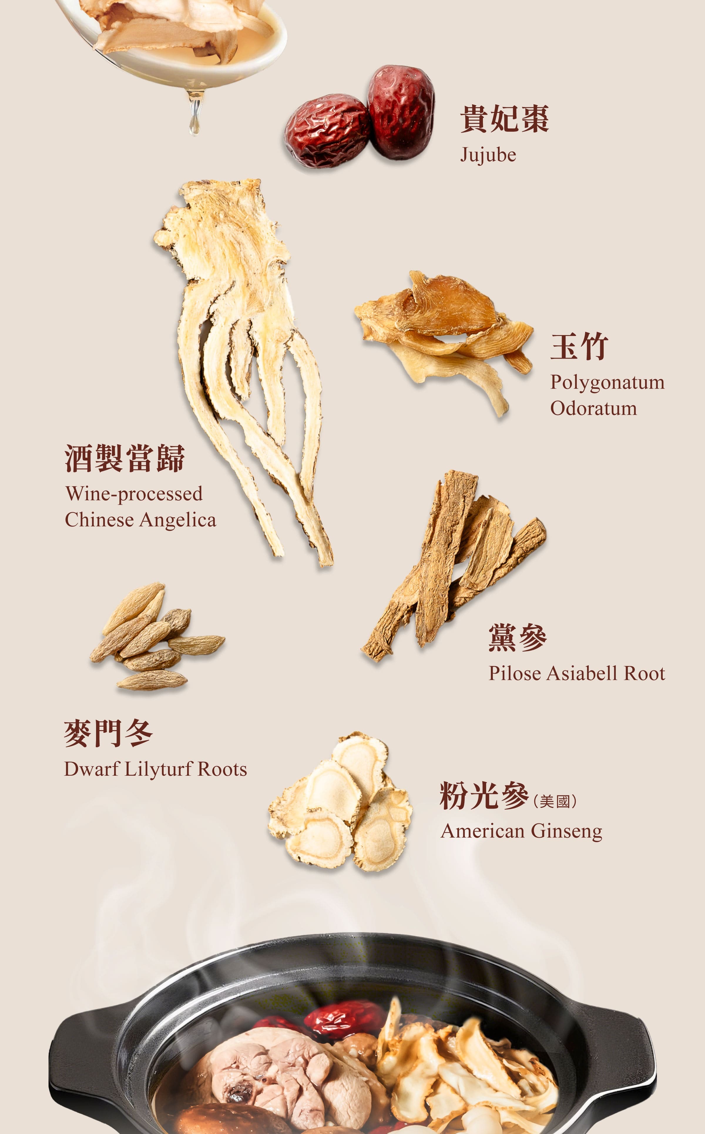 Dengyi American Ginseng Soup Ingredients