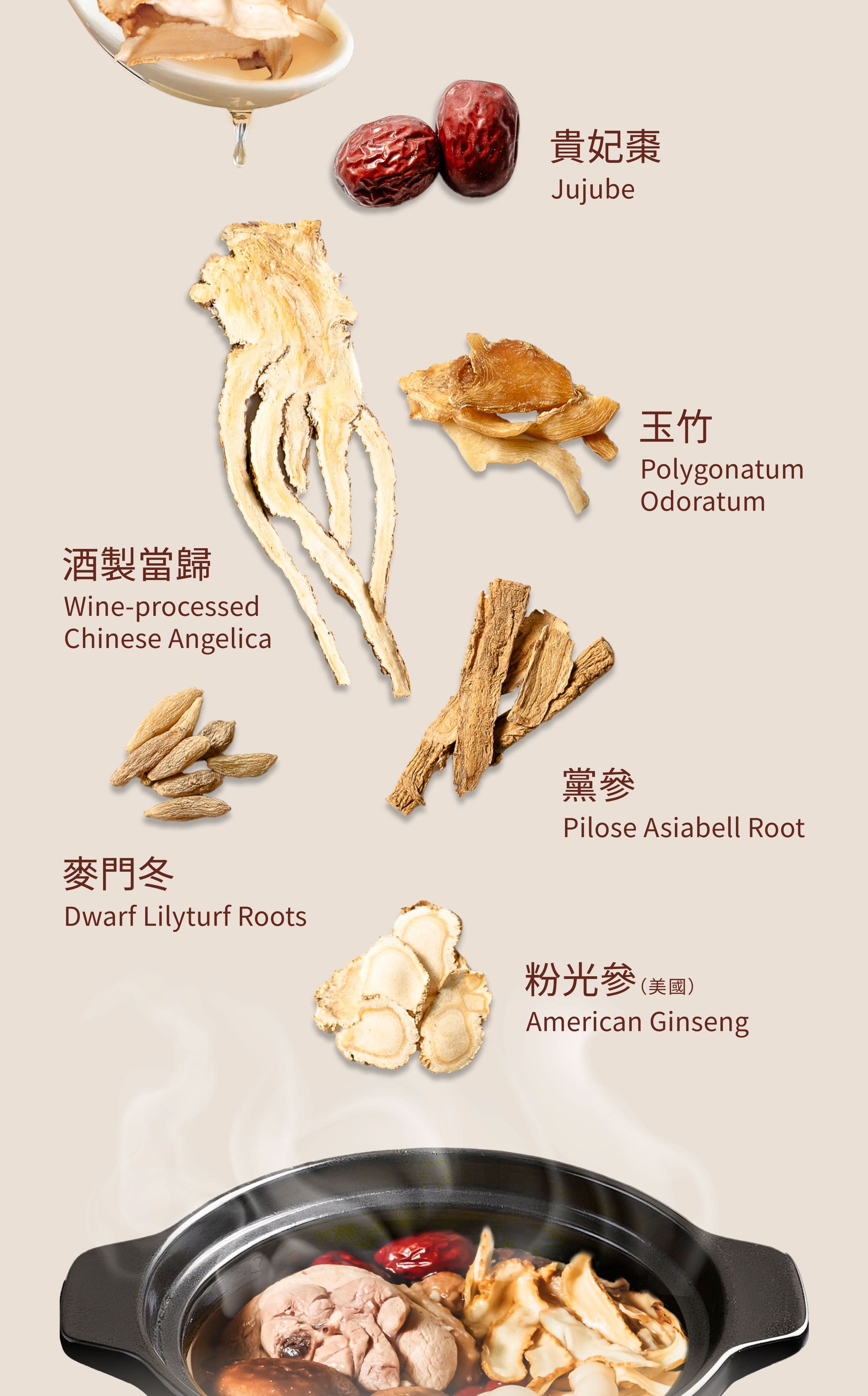 Dengyi 西洋参鶏薬膳スープキット の材料