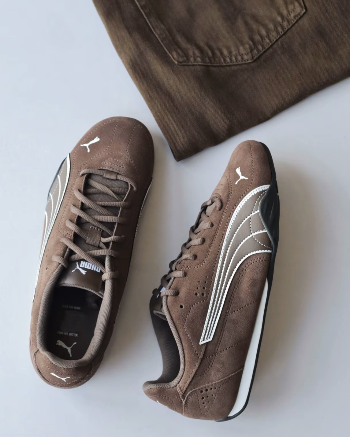 PUMA CATCH SD 巧克棕